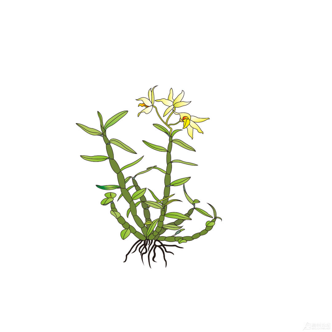 ΢��ͼƬ_2026-06-05_091809_042.png