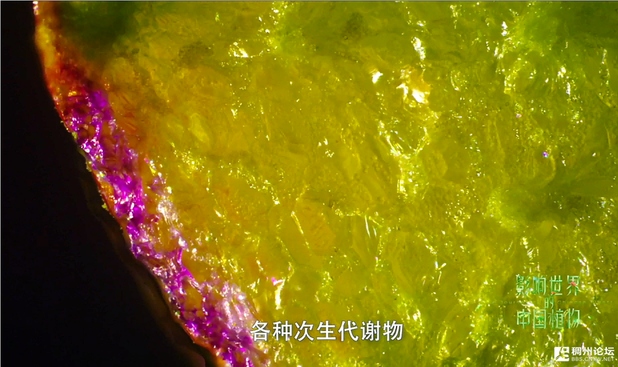 ΢��ͼƬ_2026-06-09_211552_611.png