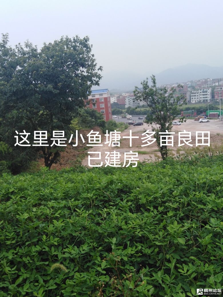 20260625093627front2_0_1066650_FvdV9r2OyVvMJjNZvKia2eiNQ7Hg.jpg