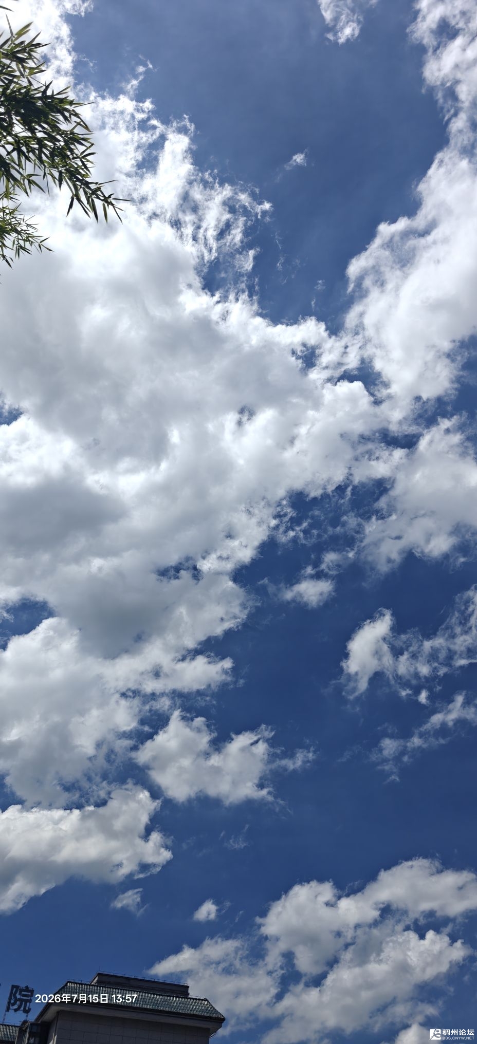 20260824161555front2_0_1067354_Fh4RMhERZK-smoX5xyOFxYQ61O0Q.jpg