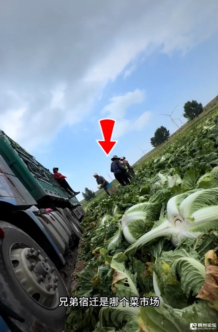 ΢��ͼƬ_2026-08-25_093110_590.png